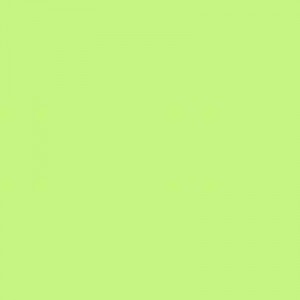 Pastelově zelená, Forest. Kopírovací papír A4, 80gr./500l. MG28